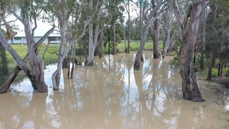 Second view of Homely rural property listing, 31457 Cunningham Hwy, Goondiwindi QLD 4390