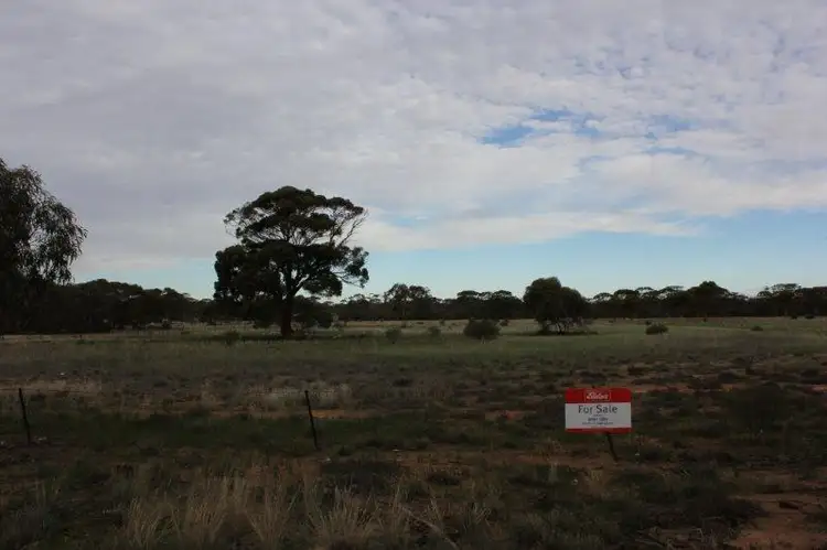 Lot 125 Parkes Street, Burracoppin WA 6421