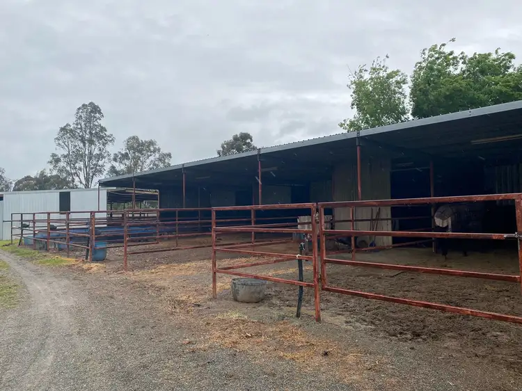 Sixth view of Homely rural property listing, 555 Coomboona Road, Coomboona VIC 3629