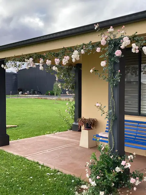 Third view of Homely house listing, 95 Adams Lead Road, Gulgong NSW 2852