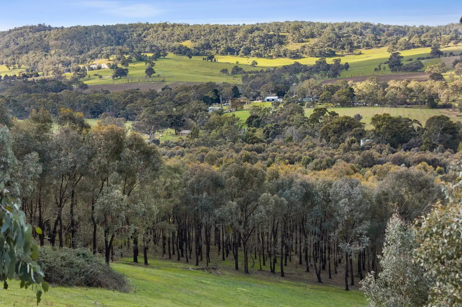 Main view of Homely land listing, 600 Specimen Gully Road, Faraday VIC 3451