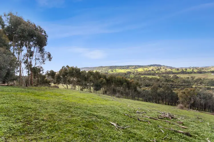Third view of Homely land listing, 600 Specimen Gully Road, Faraday VIC 3451