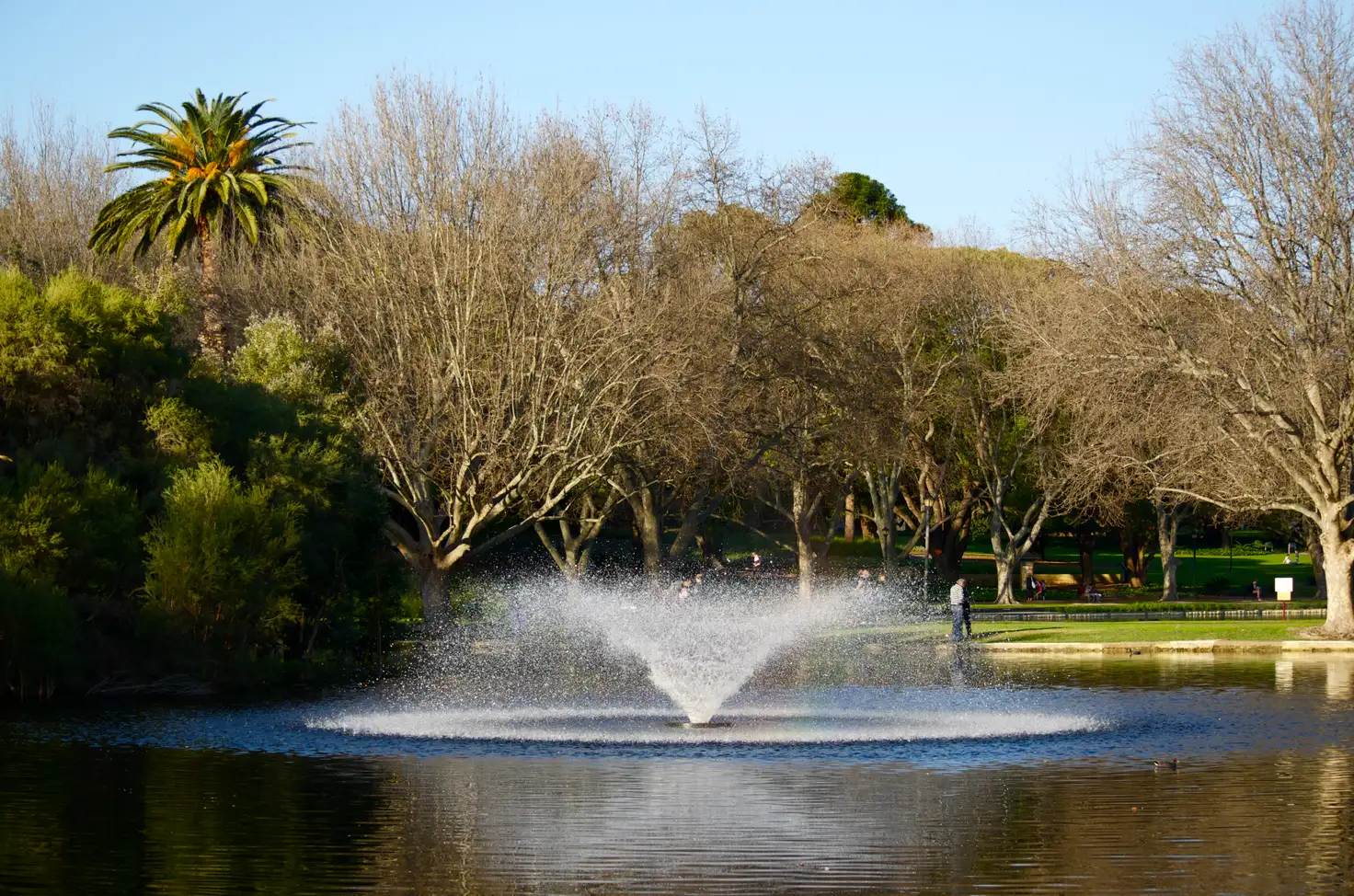 Main view of Homely house listing, 75 Chelmsford Road, Mount Lawley WA 6050