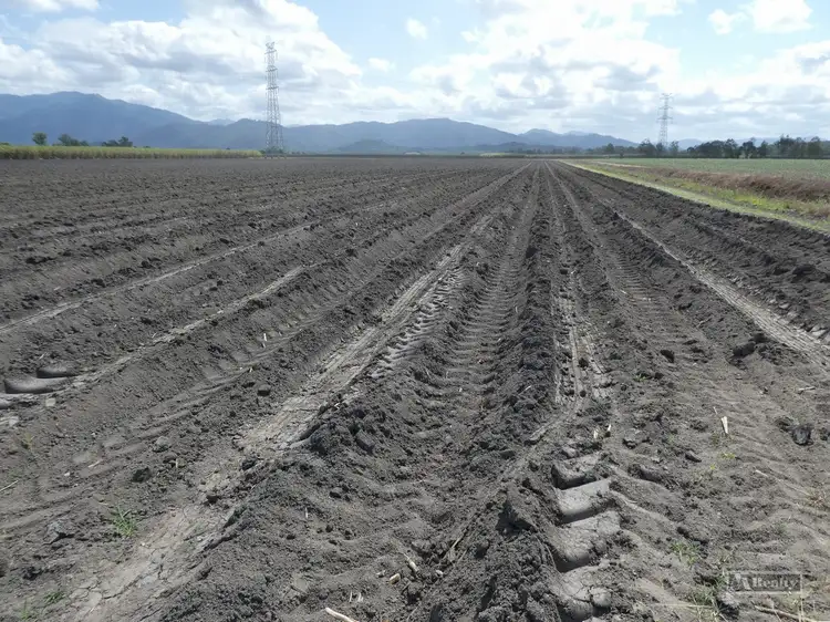 Seventh view of Homely rural property listing, Address available on request