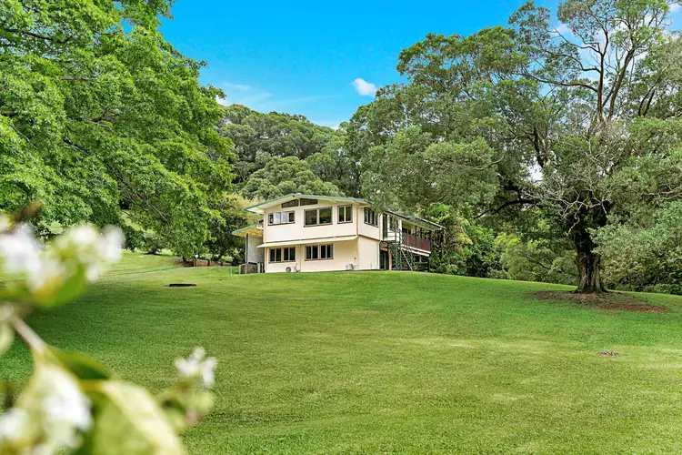 Second view of Homely house listing, 23 Lavers Road, Lower Daintree QLD 4873