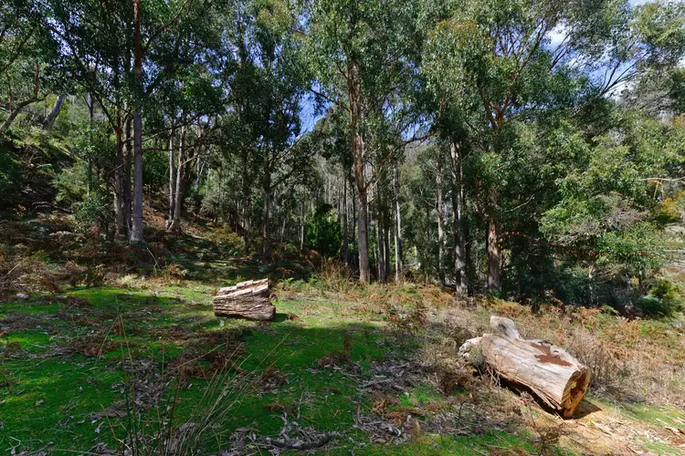 Third view of Homely land listing, 283 Wyre Forest Road, Molesworth TAS 7140