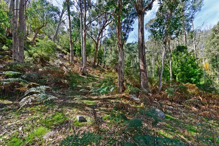 Fourth view of Homely land listing, 283 Wyre Forest Road, Molesworth TAS 7140