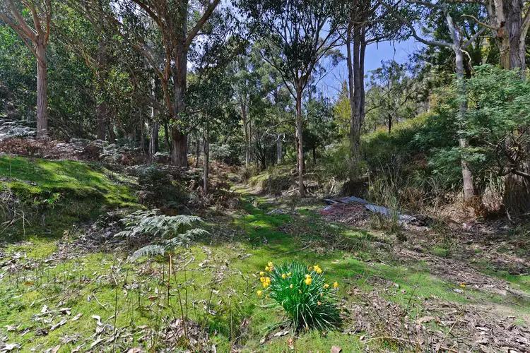 Fifth view of Homely land listing, 283 Wyre Forest Road, Molesworth TAS 7140