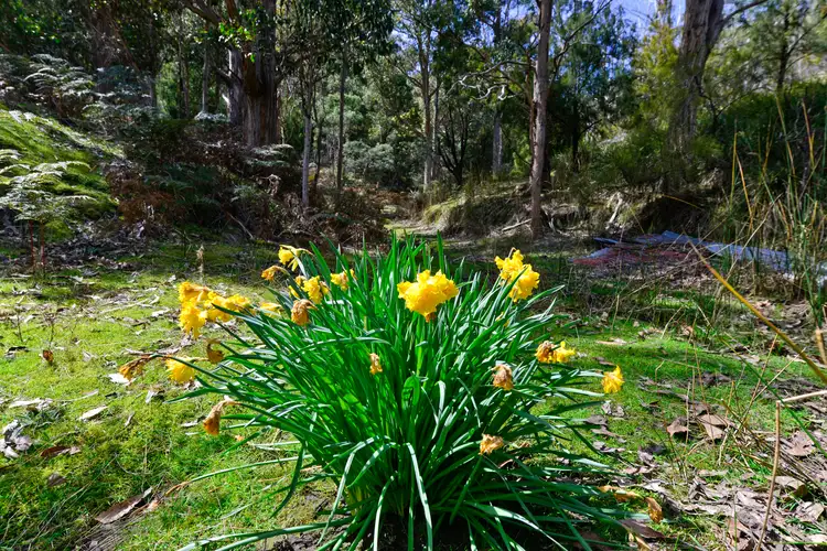 Sixth view of Homely land listing, 283 Wyre Forest Road, Molesworth TAS 7140