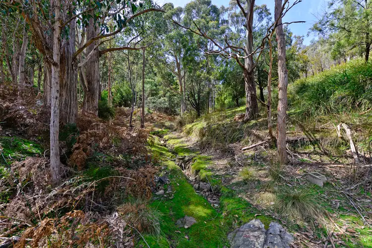 Seventh view of Homely land listing, 283 Wyre Forest Road, Molesworth TAS 7140