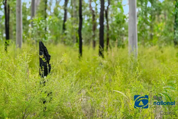 Fifth view of Homely rural property listing, 316 Camira Creek Road, Camira NSW 2469