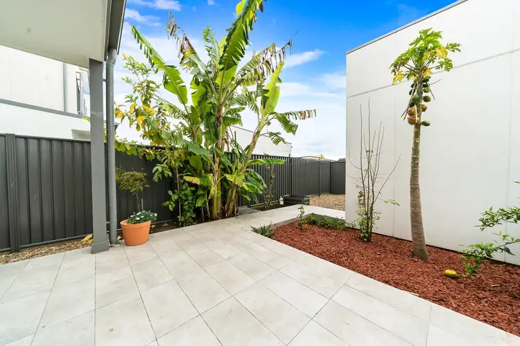 Sixth view of Homely house listing, 33 Rosetta Street, Schofields NSW 2762