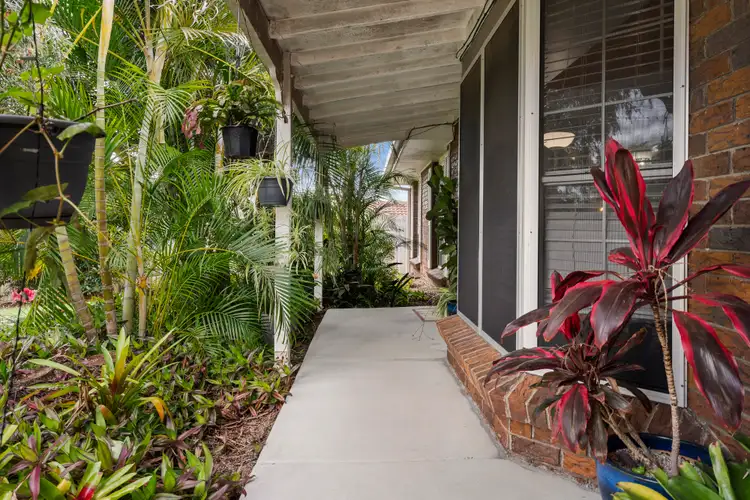 Sixth view of Homely house listing, 7 Jonquil St, Daisy Hill QLD 4127