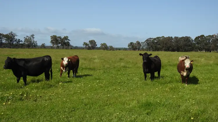 Main view of Homely rural property listing, 1165 Payne Road (Chapman Hill), Busselton WA 6280