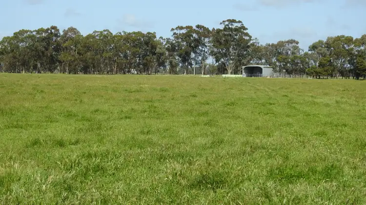 Fourth view of Homely rural property listing, 1165 Payne Road (Chapman Hill), Busselton WA 6280