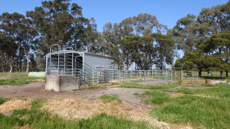 Fifth view of Homely rural property listing, 1165 Payne Road (Chapman Hill), Busselton WA 6280