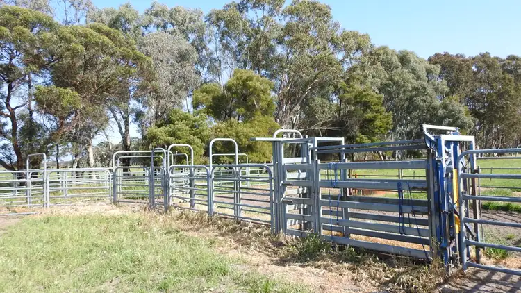 Sixth view of Homely rural property listing, 1165 Payne Road (Chapman Hill), Busselton WA 6280