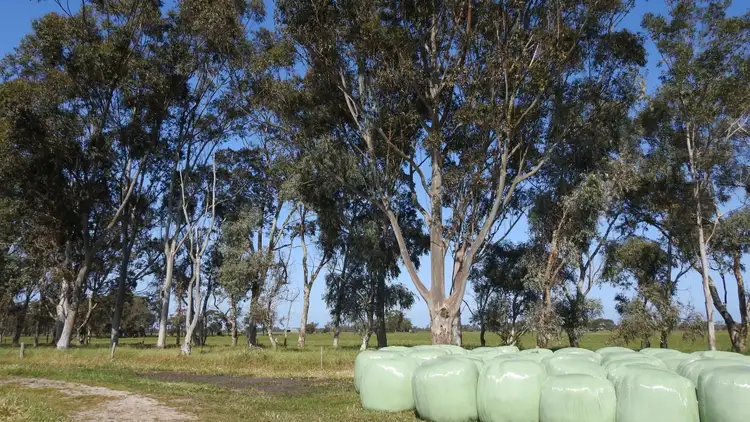 Seventh view of Homely rural property listing, 1165 Payne Road (Chapman Hill), Busselton WA 6280