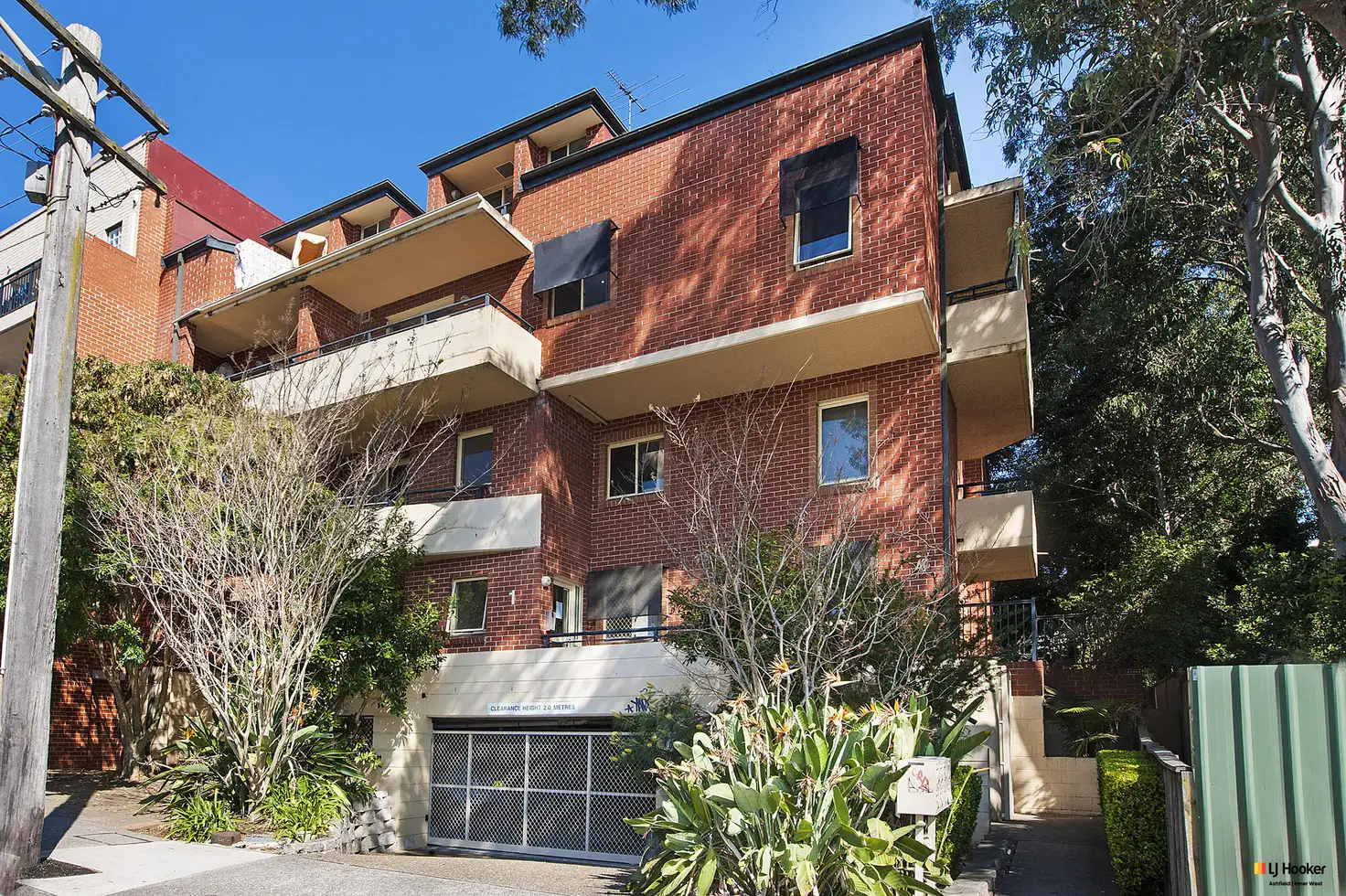 Main view of Homely apartment listing, 6/1-2 Orchard Crescent, Ashfield NSW 2131