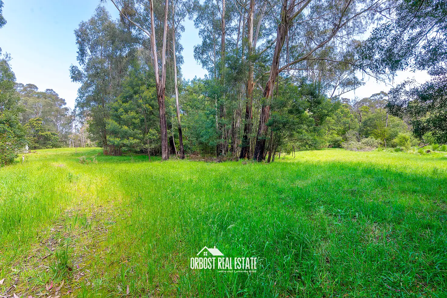 Main view of Homely land listing, 2 Princes Highway, Cann River VIC 3890
