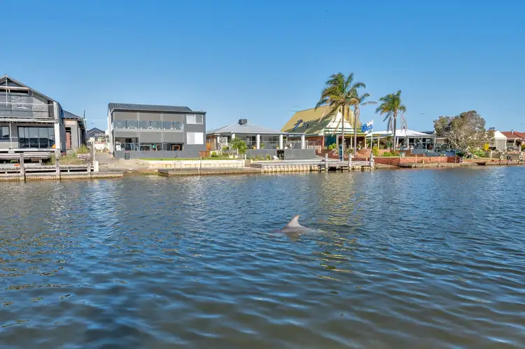 Seventh view of Homely house listing, 46 Tanderra Place, South Yunderup WA 6208