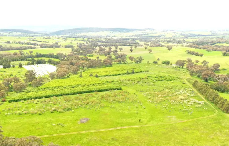 Seventh view of Homely land listing, Proposed Lot 1 Apps Lane, Young NSW 2594