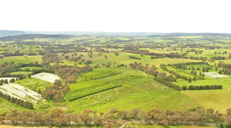 Second view of Homely land listing, 155 Apps Lane, Young NSW 2594