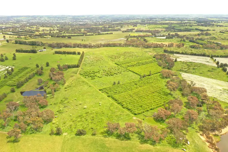 Fifth view of Homely land listing, 155 Apps Lane, Young NSW 2594