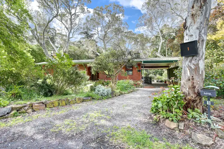 1 Maple Rd, Hawthorndene SA 5051