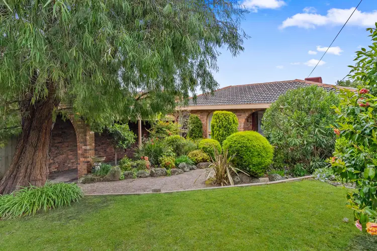 19 Mitic Court, Frankston South VIC 3199