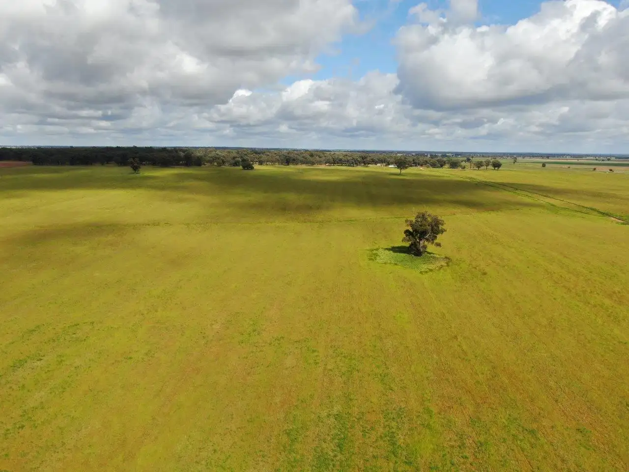 Main view of Homely rural property listing, 'Garthewn', 760 Quandary Road, Temora NSW 2666