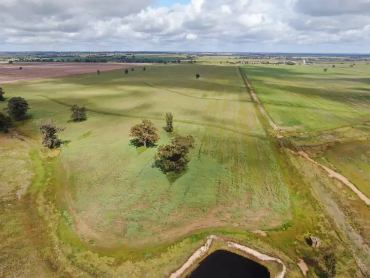 Fourth view of Homely rural property listing, 'Garthewn', 760 Quandary Road, Temora NSW 2666
