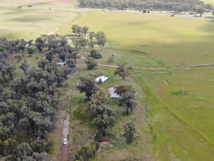 Fifth view of Homely rural property listing, 'Garthewn', 760 Quandary Road, Temora NSW 2666