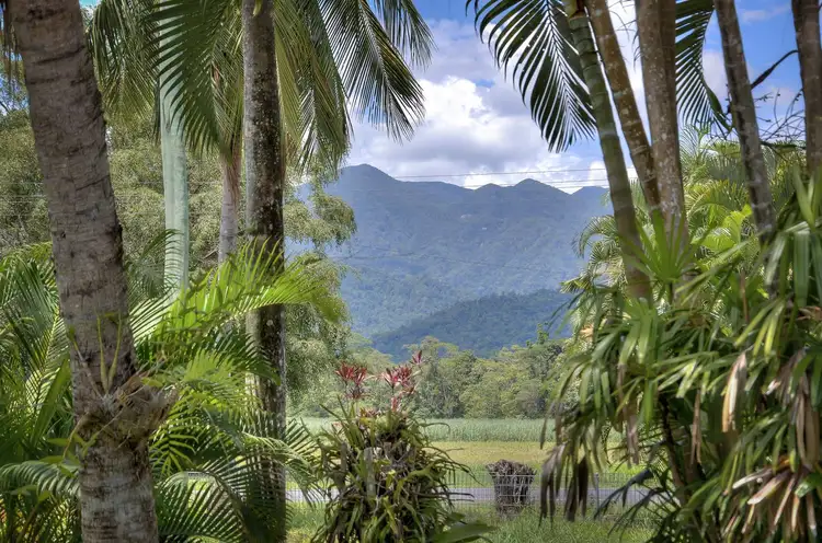 Second view of Homely house listing, 5 Hart Street, Mossman QLD 4873