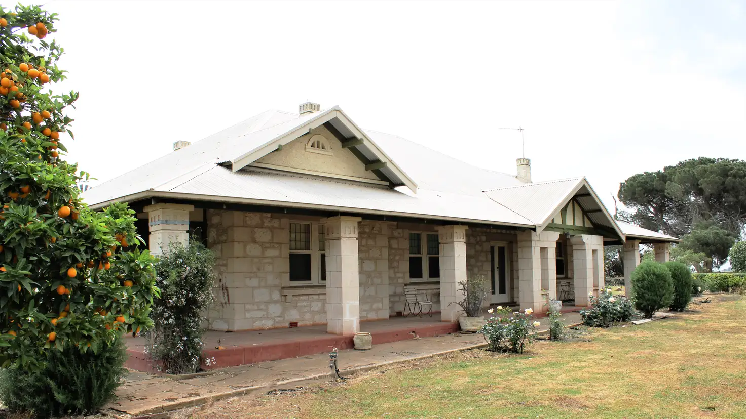 Main view of Homely rural property listing, 12020 Riddoch Highway, Naracoorte SA 5271