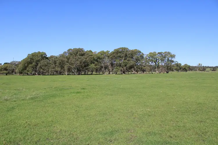 Third view of Homely rural property listing, 12020 Riddoch Highway, Naracoorte SA 5271