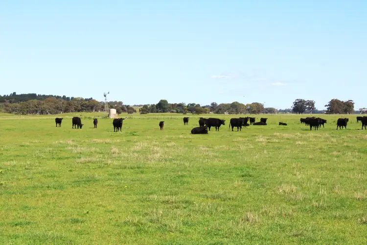 Fourth view of Homely rural property listing, 12020 Riddoch Highway, Naracoorte SA 5271