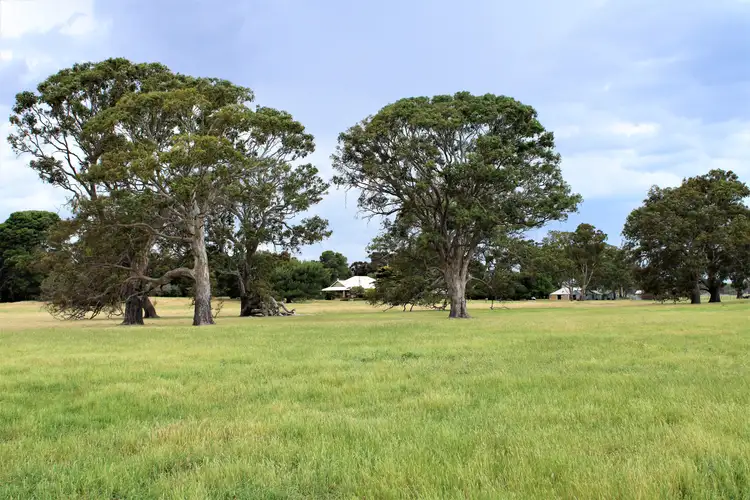 Fifth view of Homely rural property listing, 12020 Riddoch Highway, Naracoorte SA 5271
