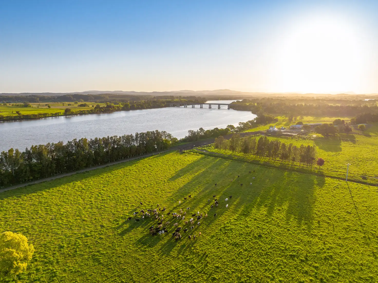 Main view of Homely rural property listing, 282 & 350 Newtons Road, Dumaresq Island NSW 2430