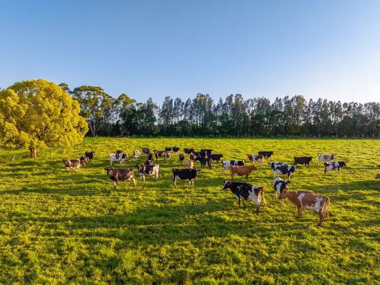 Third view of Homely rural property listing, 282 & 350 Newtons Road, Dumaresq Island NSW 2430