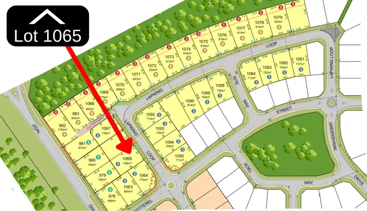 LOT 1065, 46 Lapwing Loop, Djugun WA 6725