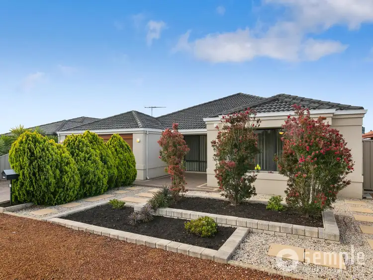 Second view of Homely house listing, 14 Leichhardt Crossing, Hammond Park WA 6164