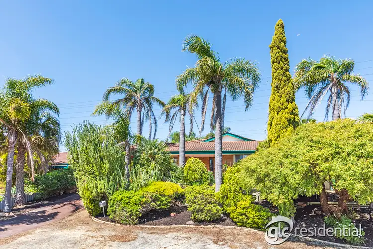6 Rambutan Place, South Lake WA 6164