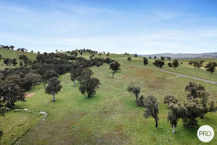 Second view of Homely land listing, 247 Pastoral Lane, Wirlinga NSW 2640