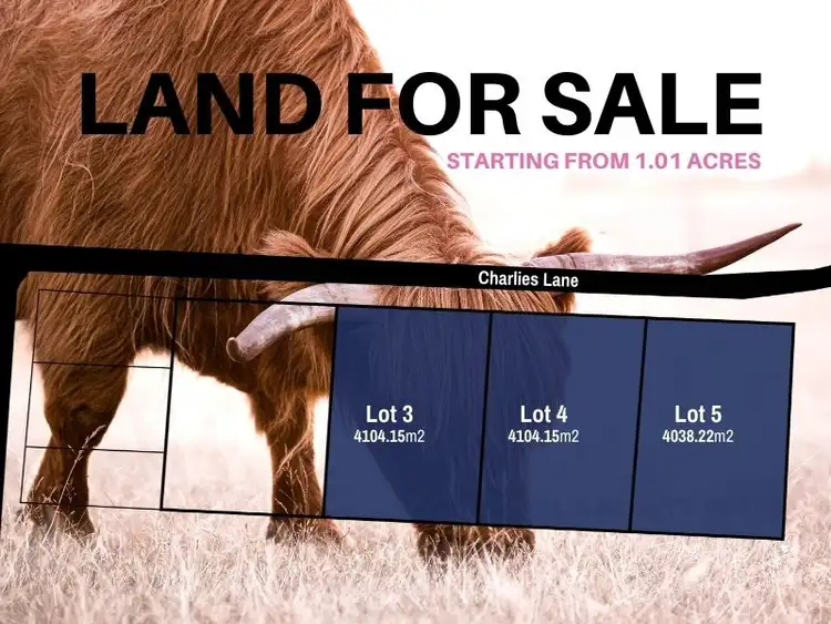Main view of Homely land listing, Lot 5 Charlies Lane, Carrick TAS 7291
