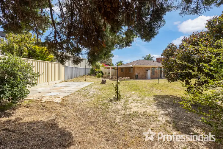 Second view of Homely house listing, 19a Carinda Place, Alexander Heights WA 6064