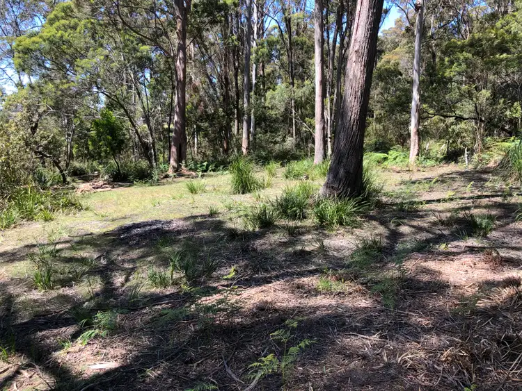 Fifth view of Homely land listing, 713 Deviot Road, Deviot TAS 7275