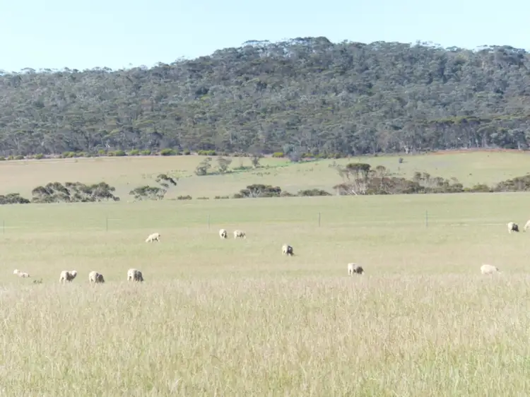 Main view of Homely rural property listing, Lot 2 South Coast Highway, Ravensthorpe WA 6346