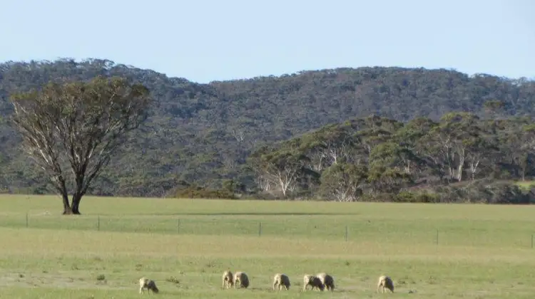 Fourth view of Homely rural property listing, Lot 2 South Coast Highway, Ravensthorpe WA 6346