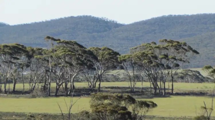 Fifth view of Homely rural property listing, Lot 2 South Coast Highway, Ravensthorpe WA 6346
